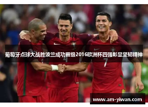 葡萄牙点球大战胜波兰成功晋级2016欧洲杯四强彰显坚韧精神