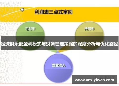 足球俱乐部盈利模式与财务管理策略的深度分析与优化路径