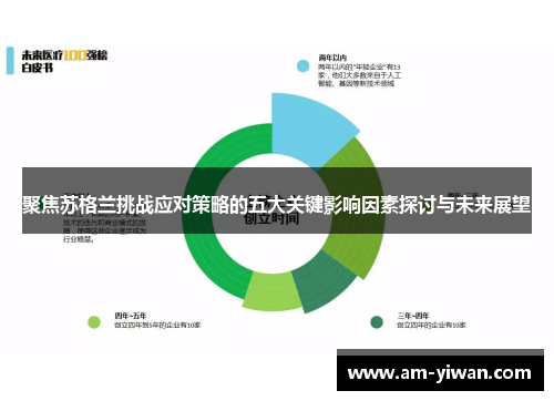 聚焦苏格兰挑战应对策略的五大关键影响因素探讨与未来展望