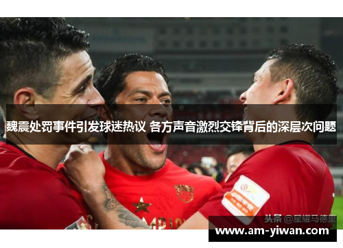 魏震处罚事件引发球迷热议 各方声音激烈交锋背后的深层次问题 魏震处罚事件引发球迷热议 各方声音激烈交锋背后的深层次问题
